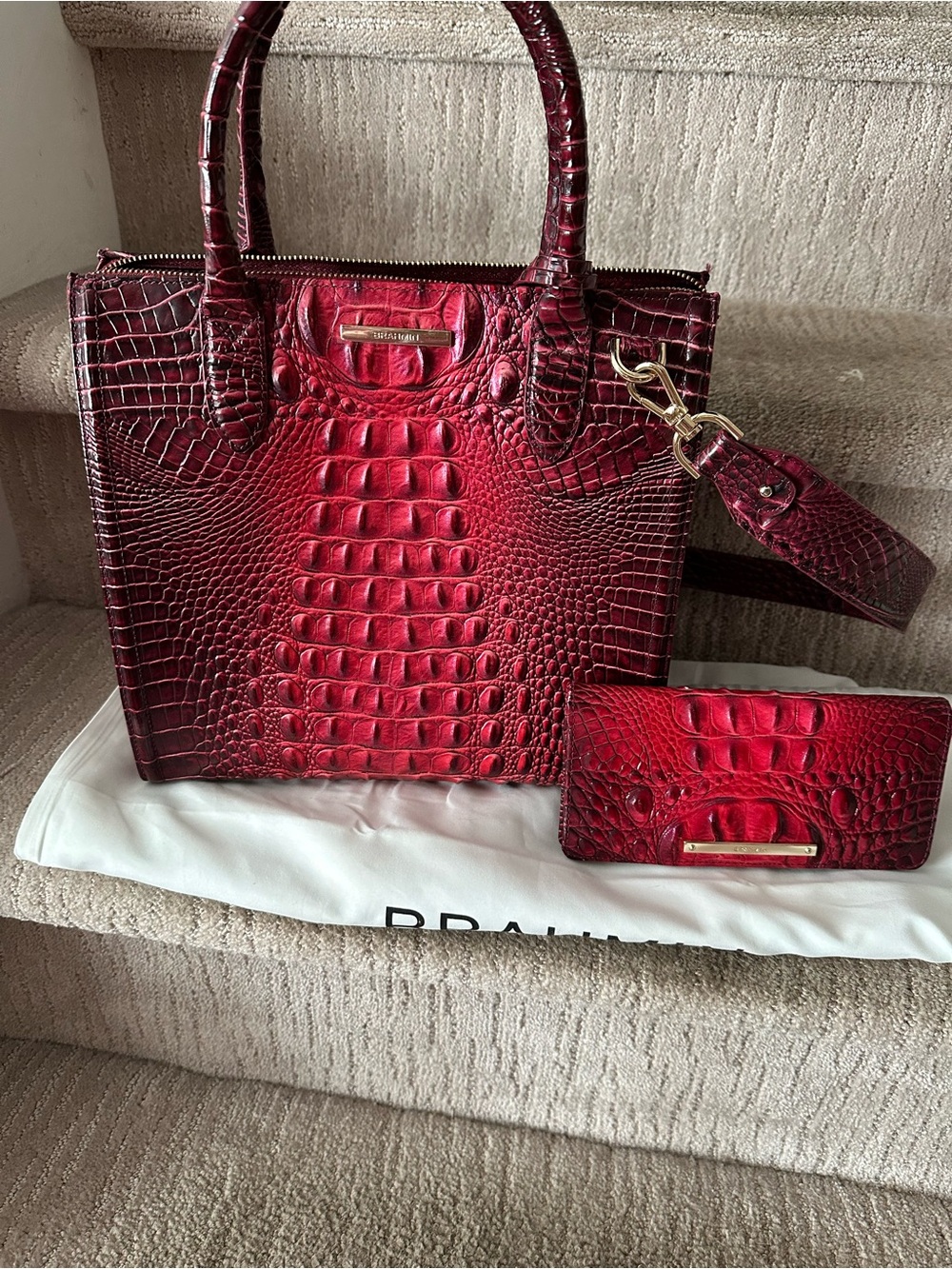 ❤️ Brahmin Caroline and Ady in Rose Ombré ❤️